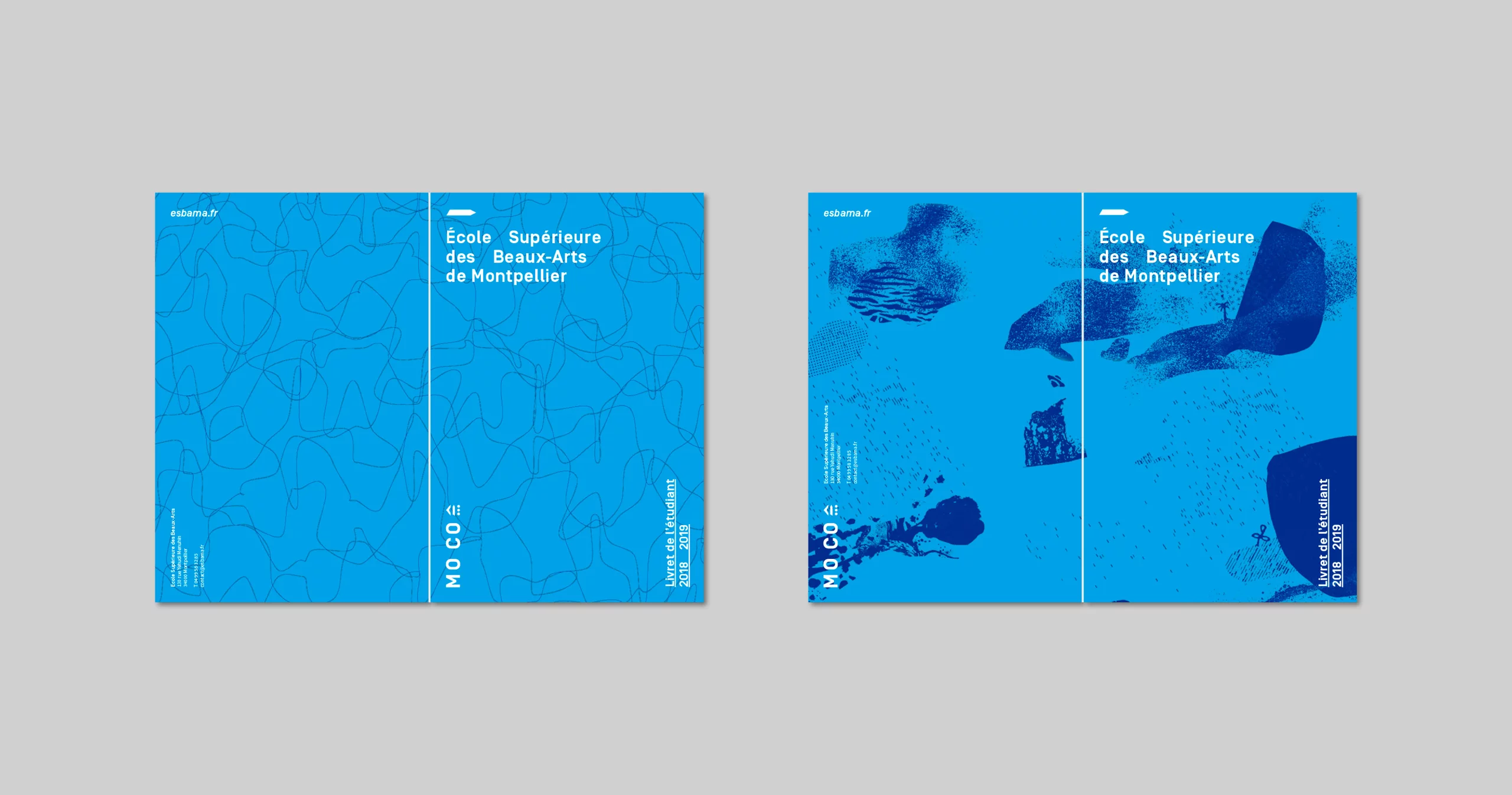 Plusieurs variantes pour le visuel du livret de l'étudiant. On voit 2 propositions d'illustration