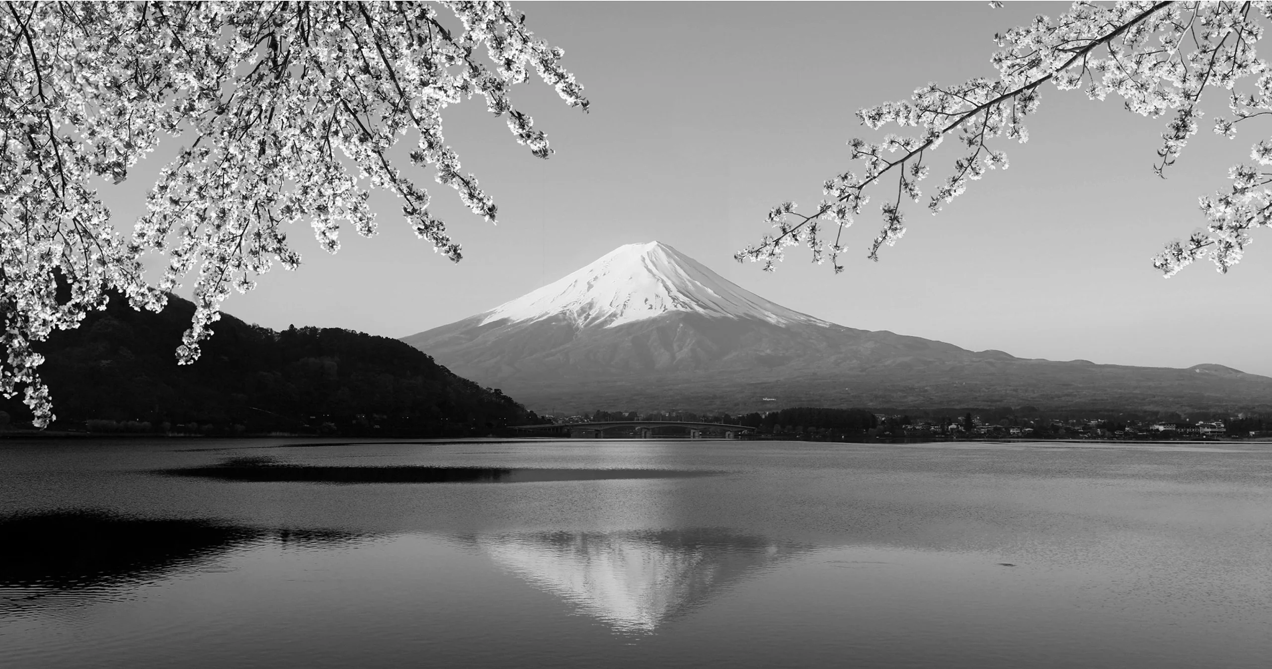 Photo du volcan Mont Fuji au Japon