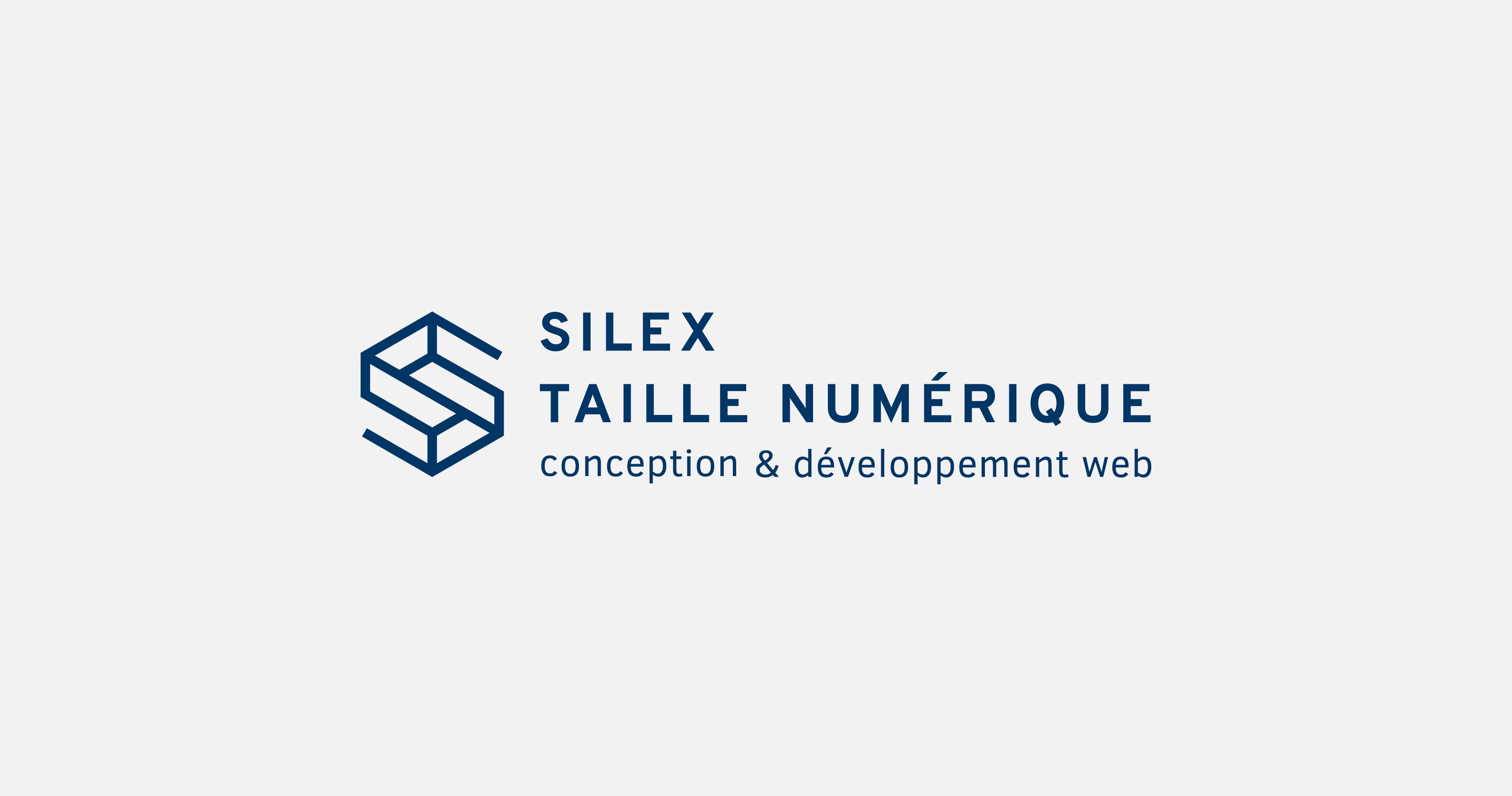 Logo silex
