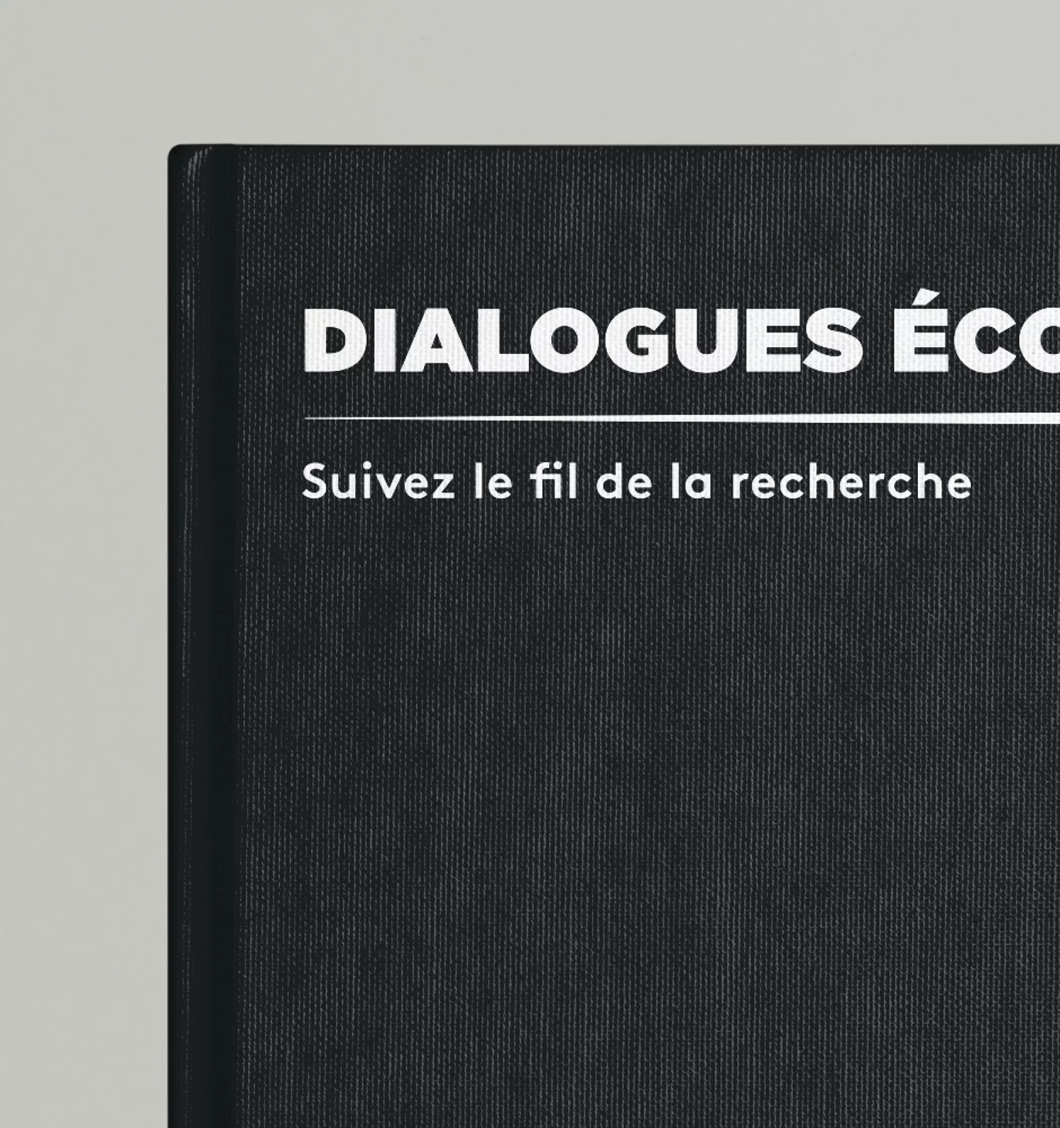 Zoom sur la texture de la couverture du livre dialogues économiques