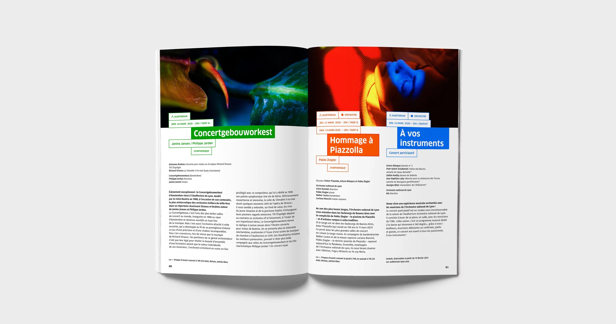 Pages intérieures de la proposition 1 de brochure, avec en haut des pages les grands visuels colorés et contrastés utilisés sur les affiches, et les titres contenus dans des cadres colorés