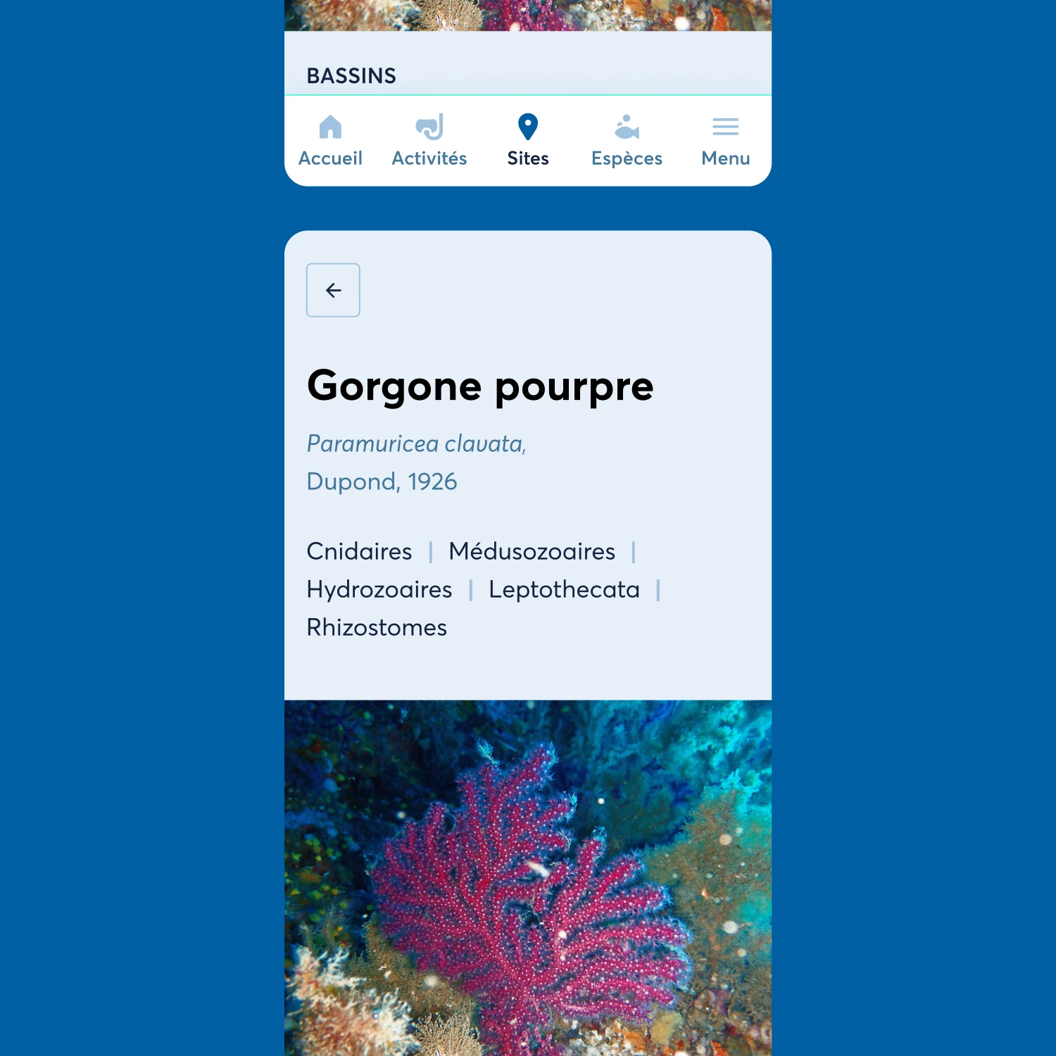 Écran mobile de la fiche détaillée d'une espèce