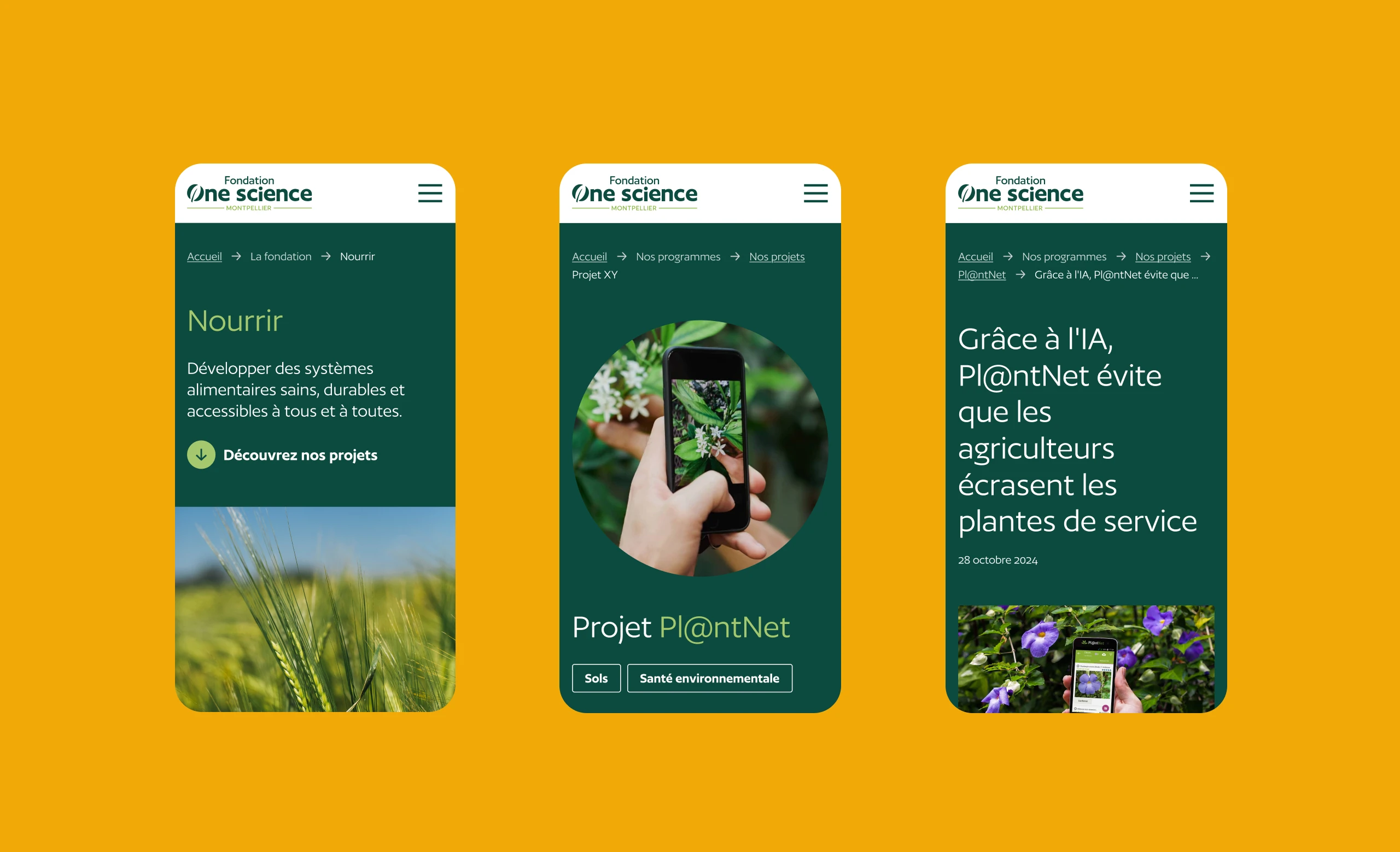 Design UX/UI mobile du site de la Fondation One Science Montpellier