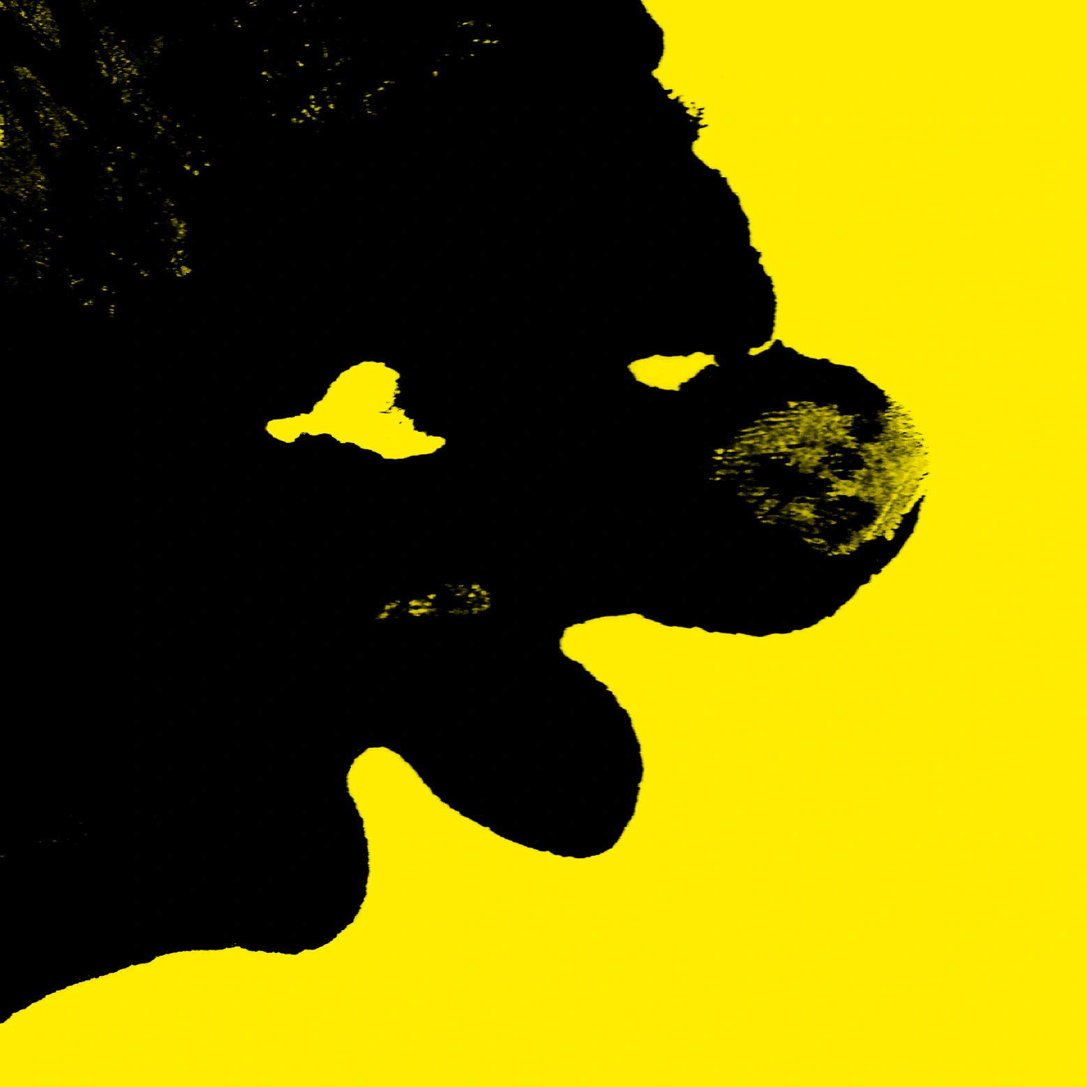 Illustration du système graphique de la 80e édition du Festival d'Avignon 2026
